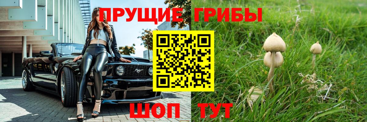 Псилоцибиновые грибы Cubensis  Галлюциногенные грибы прущие грибы  Вход с VPN  Северобайкальск 